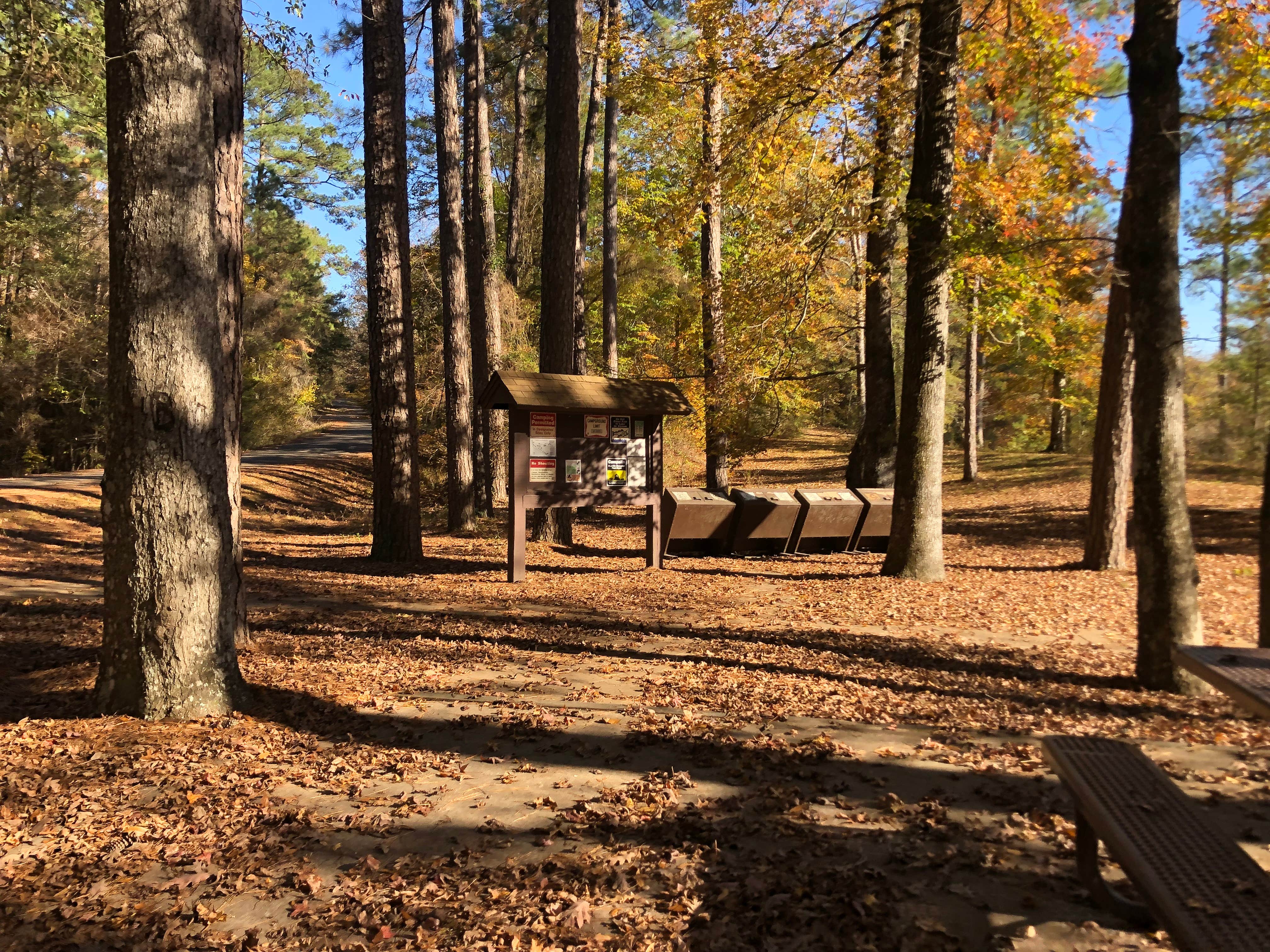Camper submitted image from Kisatchie Bayou NF Campground - Temporarily Closed - 4