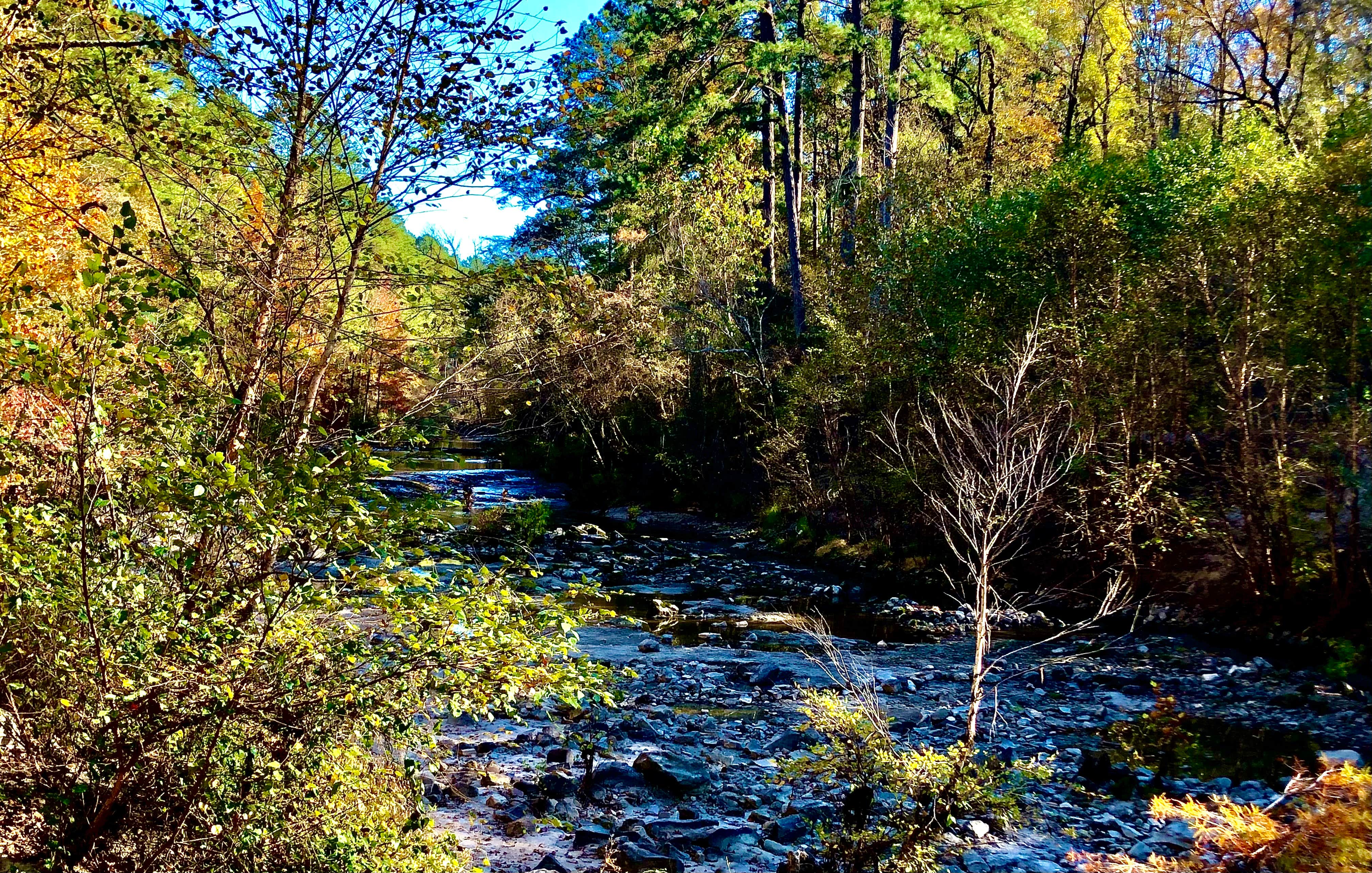 Camper-submitted photo at Kisatchie Bayou NF Campground - Temporarily Closed near Lecompte, LA