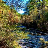 Review photo of Kisatchie Bayou NF Campground - Temporarily Closed by N I., December 22, 2021