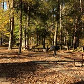 Review photo of Kisatchie Bayou NF Campground - Temporarily Closed by N I., December 22, 2021