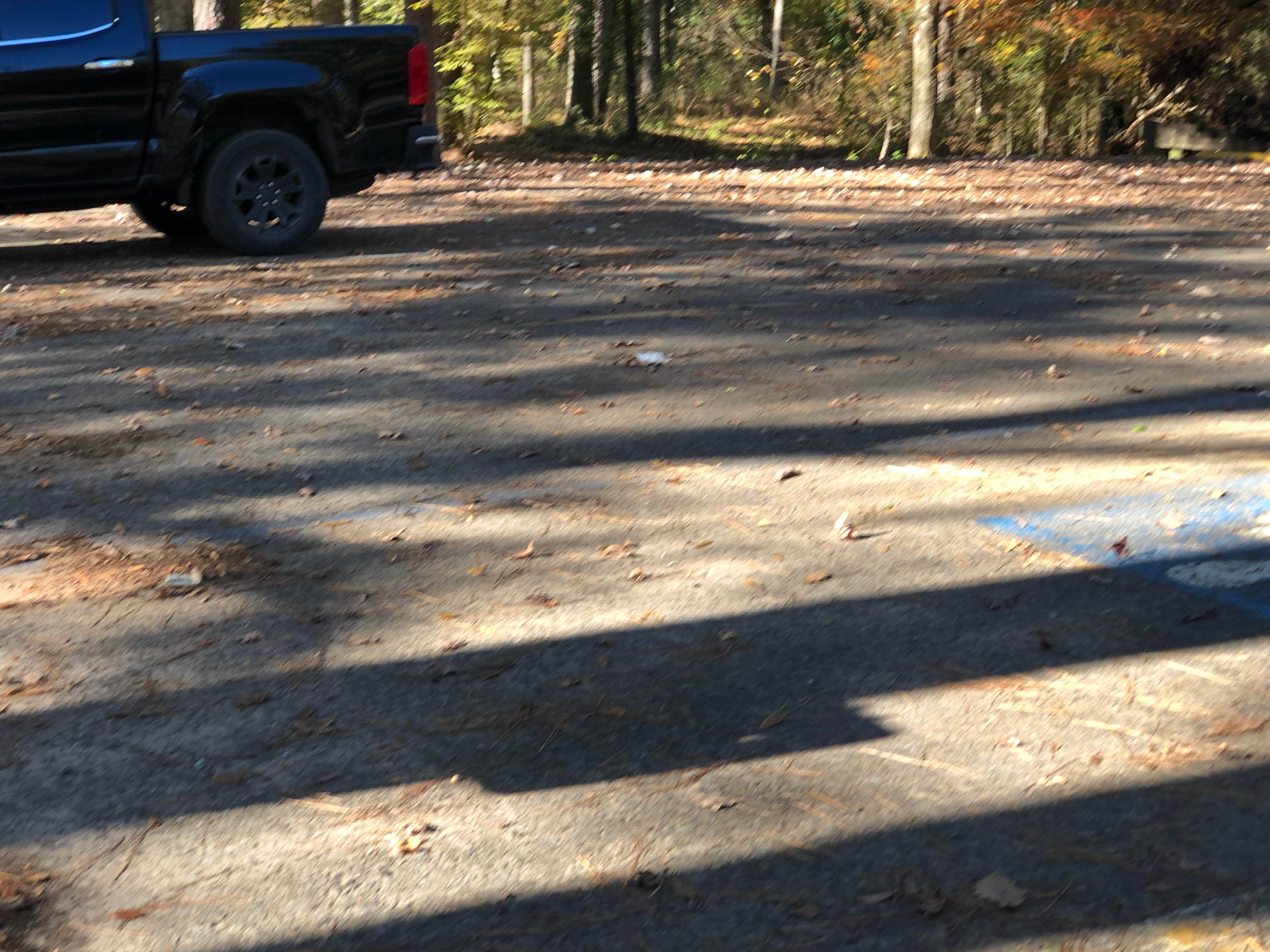 Camper submitted image from Kisatchie Bayou NF Campground - 1