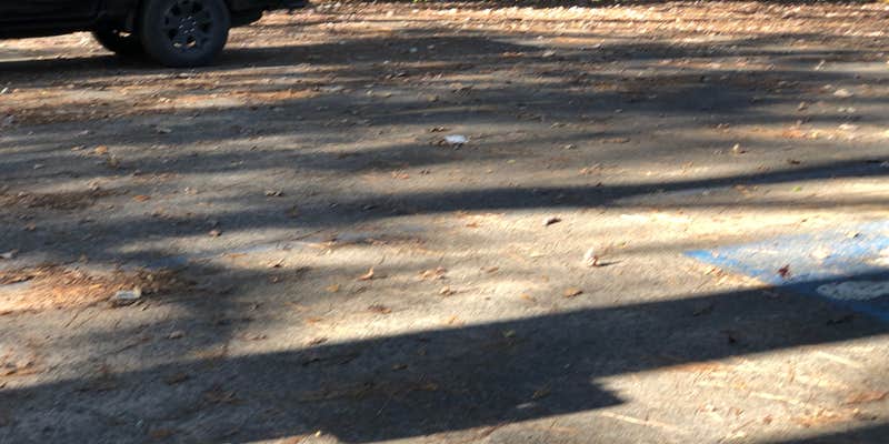 Camper submitted image from Kisatchie Bayou NF Campground - Temporarily Closed