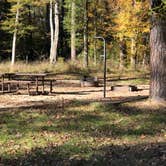 Review photo of Kisatchie Bayou NF Campground - Temporarily Closed by N I., December 22, 2021