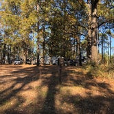 Review photo of Oak Camp Complex by N I., December 22, 2021