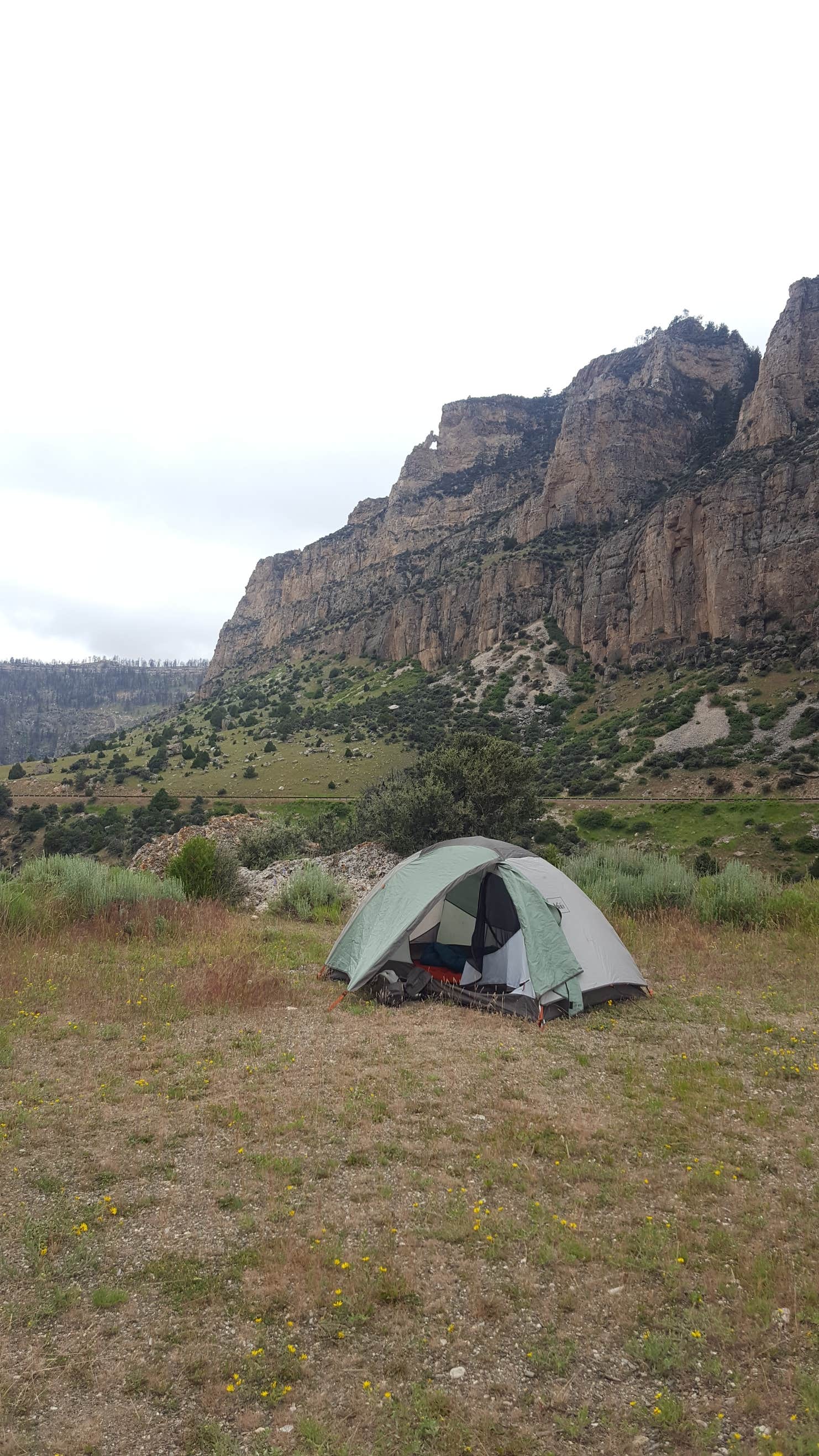 Leigh Creek Campground The Dyrt