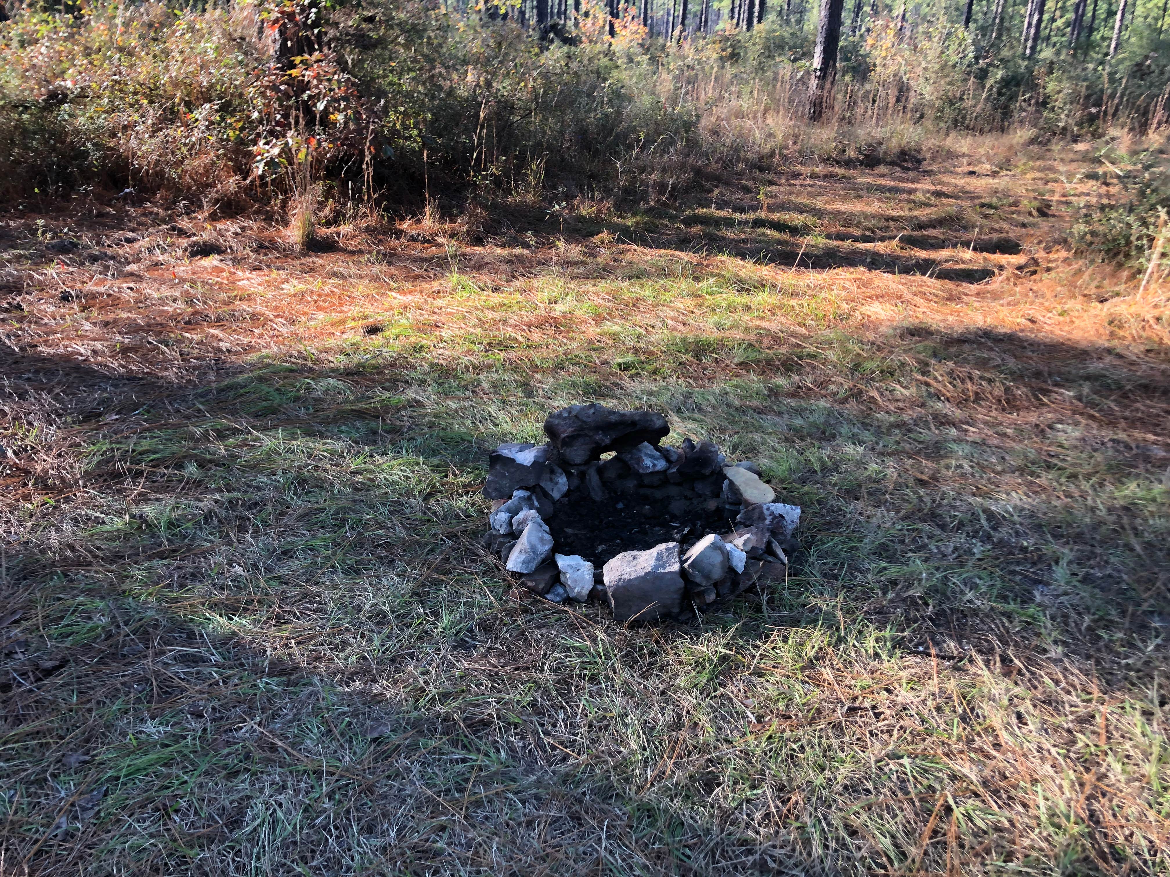 Camper-submitted photo at Oak Camp Complex near Natchitoches, LA