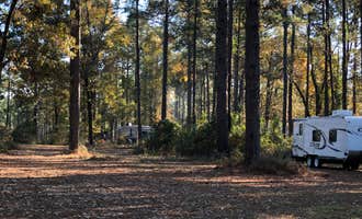 Camping near Kisatchie Bayou Complex: Oak Camp Complex, Cloutierville, Louisiana