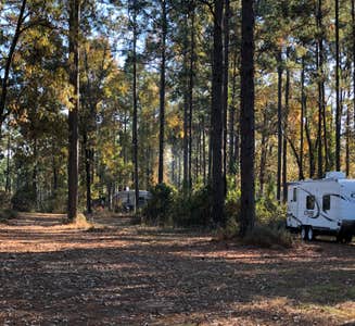 Camper-submitted photo from Toledo Bend Recreation Site
