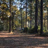 Review photo of Oak Camp Complex by N I., December 22, 2021