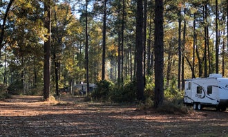 Camping near Kisatchie Bayou Complex: Oak Camp Complex, Cloutierville, Louisiana