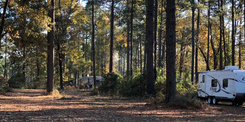 Camper submitted image from Oak Camp Complex