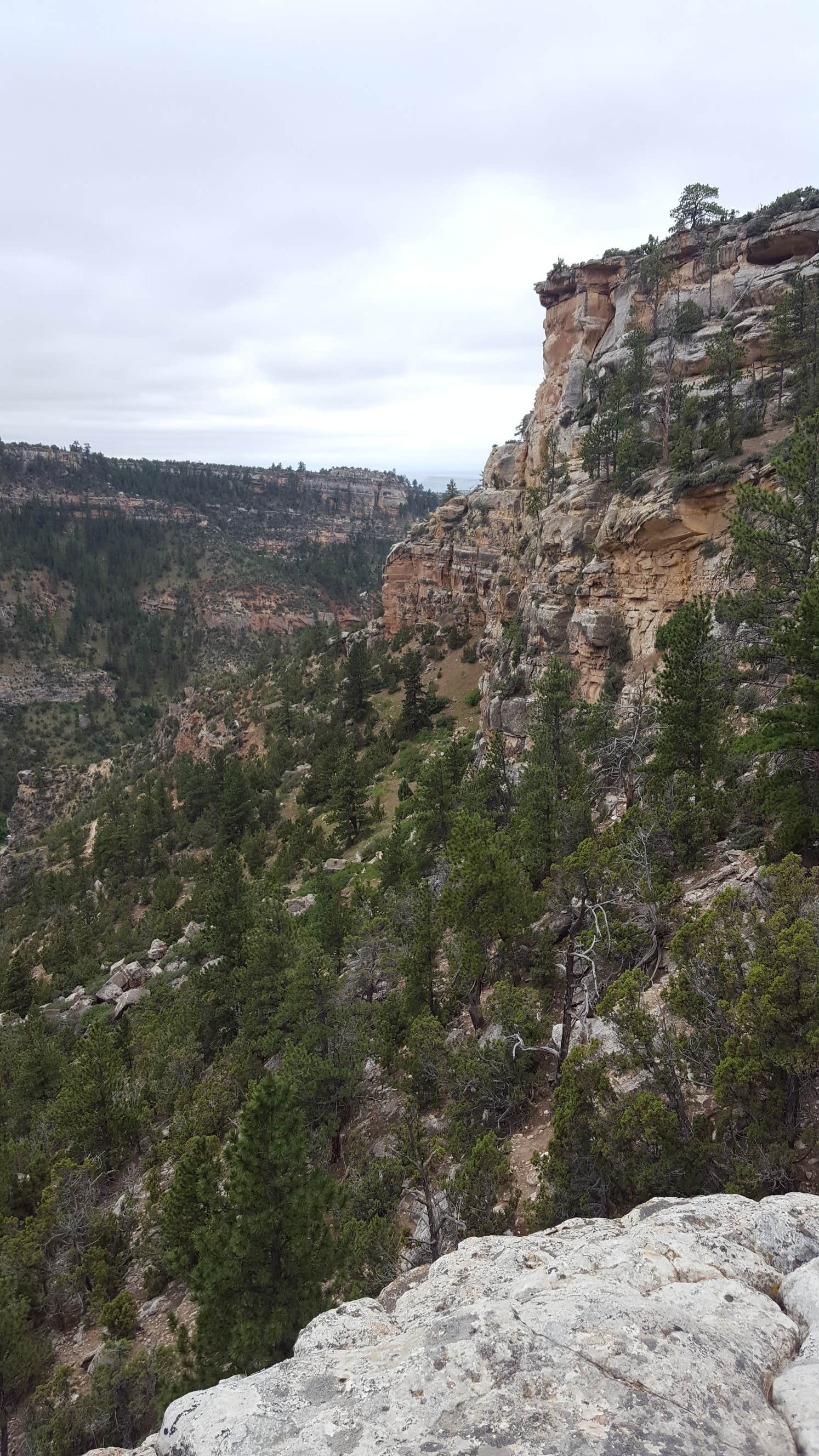 Camper-submitted photo at Leigh Creek Campground near Ten Sleep, WY