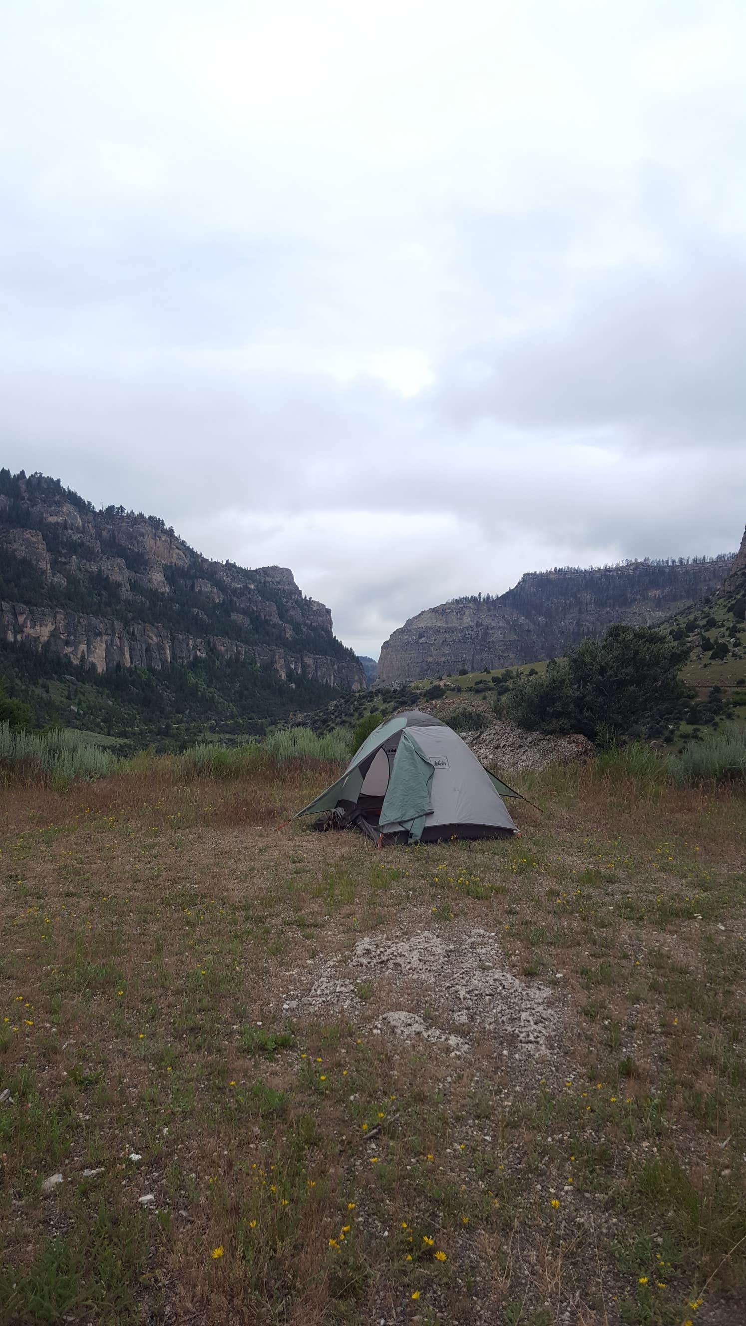Jess D.'s photo at Leigh Creek Campground near Worland, WY