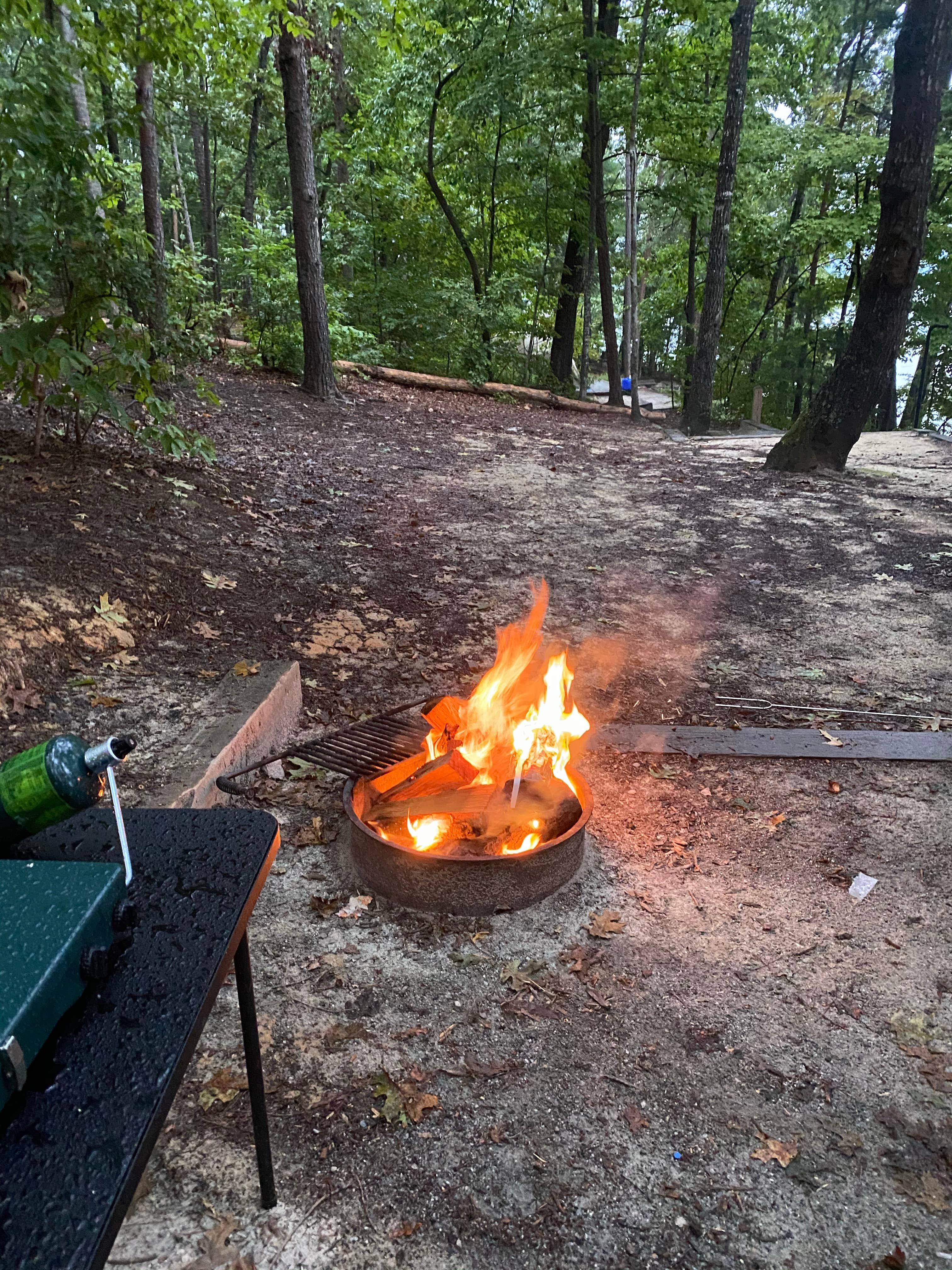 Camper-submitted photo at Cypress Ranch Glamping near Wrightsville Beach, NC