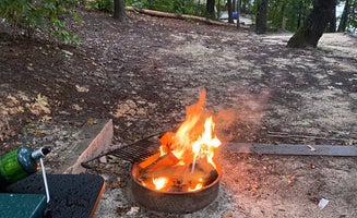 Camper-submitted photo from Cypress Ranch Glamping 