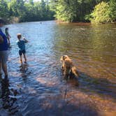 Review photo of Peshtigo River Campground by Mike W., July 8, 2018