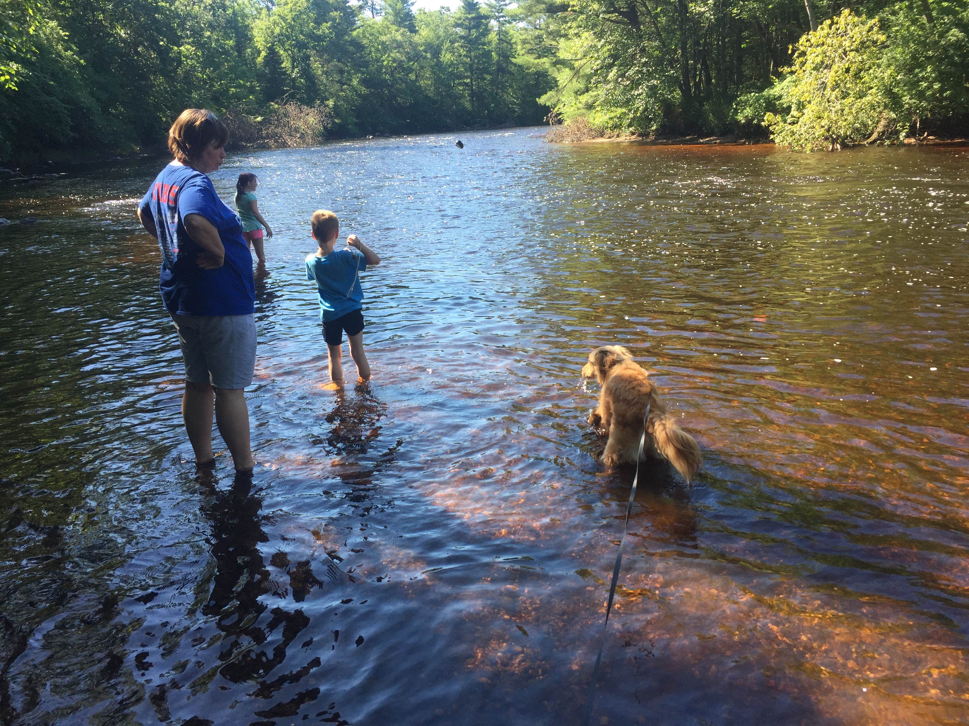 Camper submitted image from Peshtigo River Campground - 4