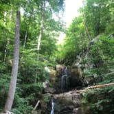 Review photo of Loft Mountain Campground — Shenandoah National Park by RL , December 22, 2021