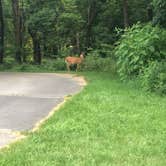 Review photo of Loft Mountain Campground — Shenandoah National Park by RL , December 22, 2021