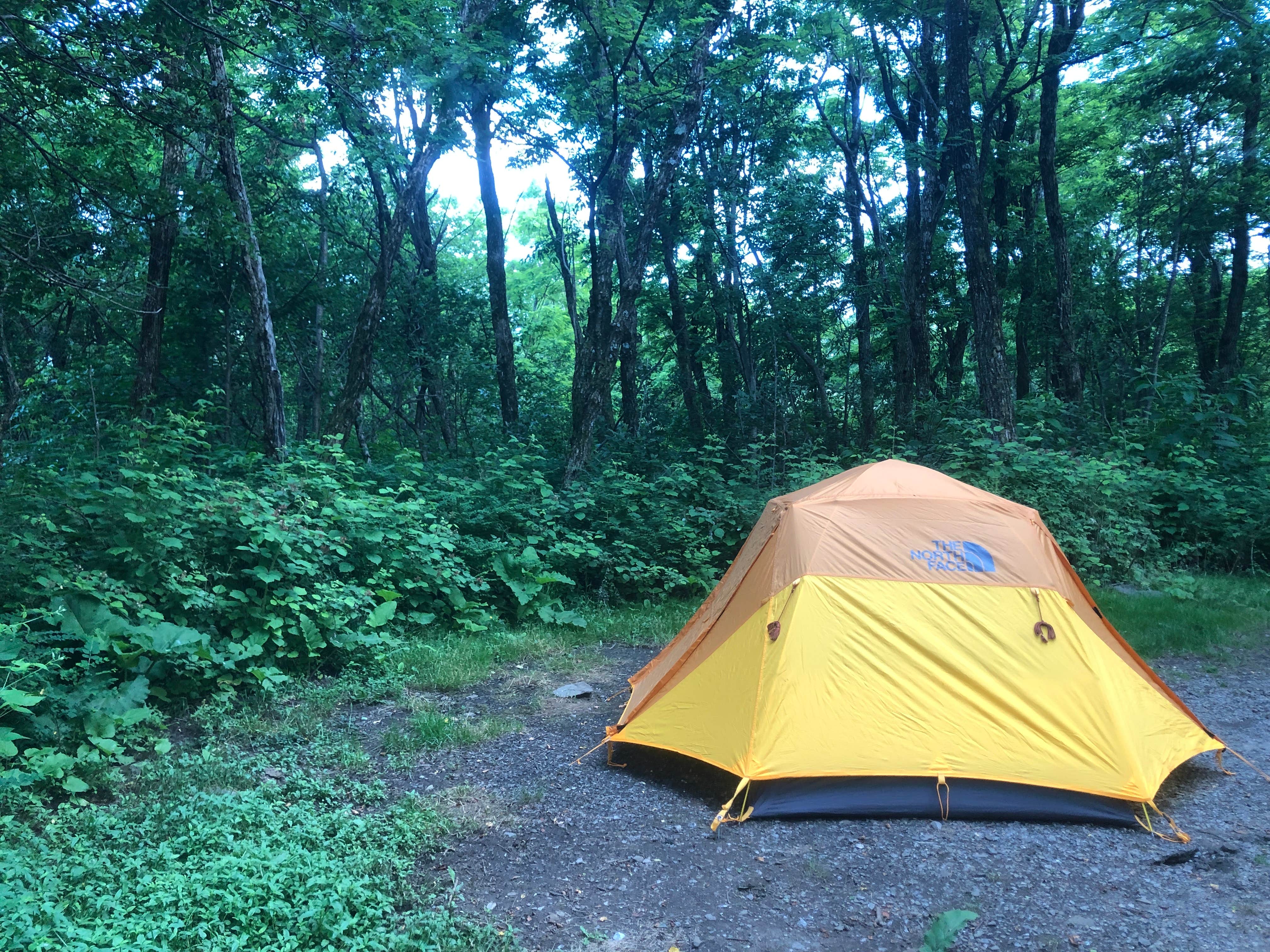 RL's photo at Loft Mountain Campground — Shenandoah National Park near Norwood, VA