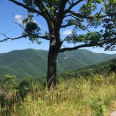 Review photo of Loft Mountain Campground — Shenandoah National Park by RL , December 22, 2021