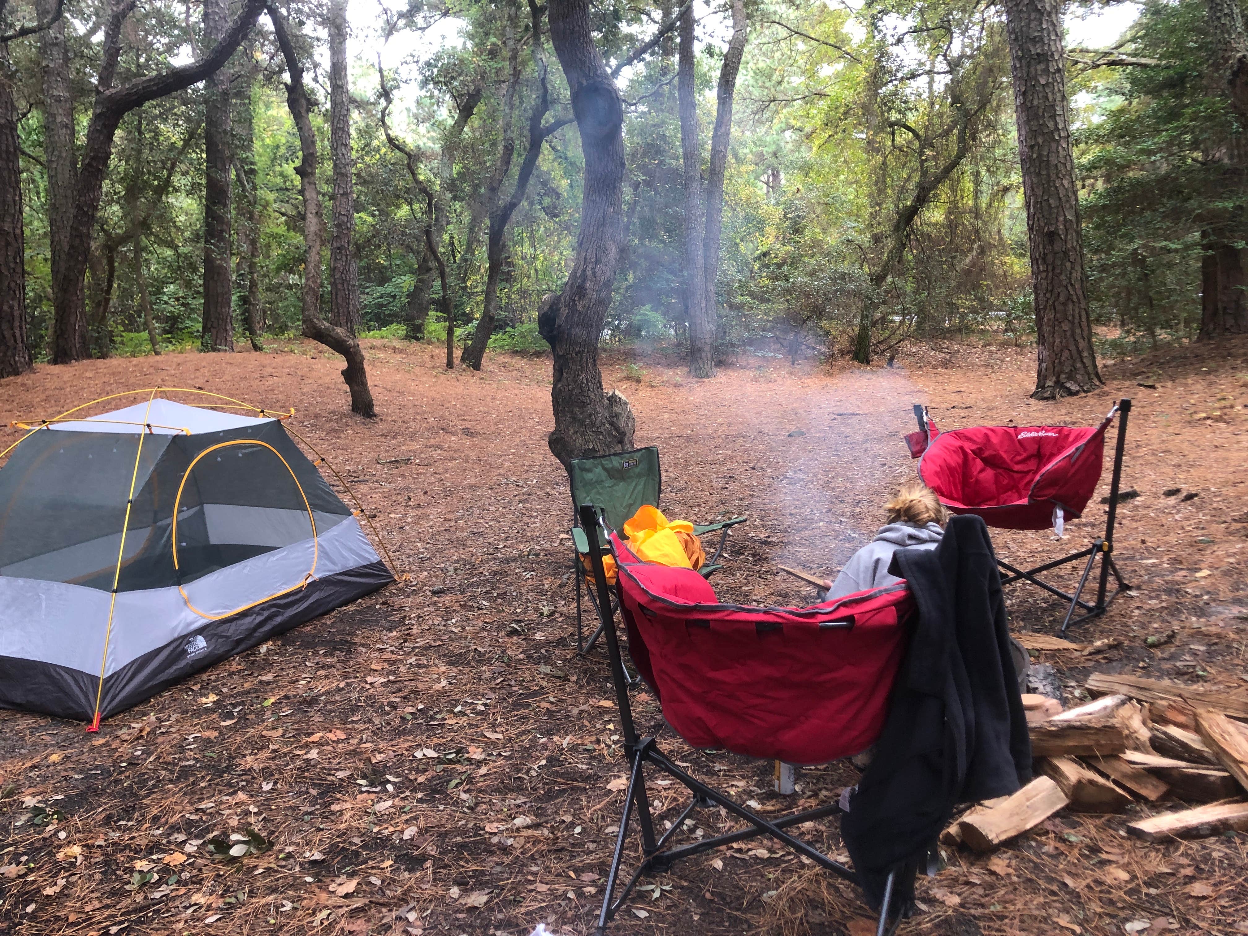 RL's photo at First Landing State Park Campground near Knotts Island, NC