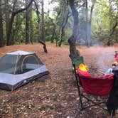 Review photo of First Landing State Park Campground by RL , December 22, 2021