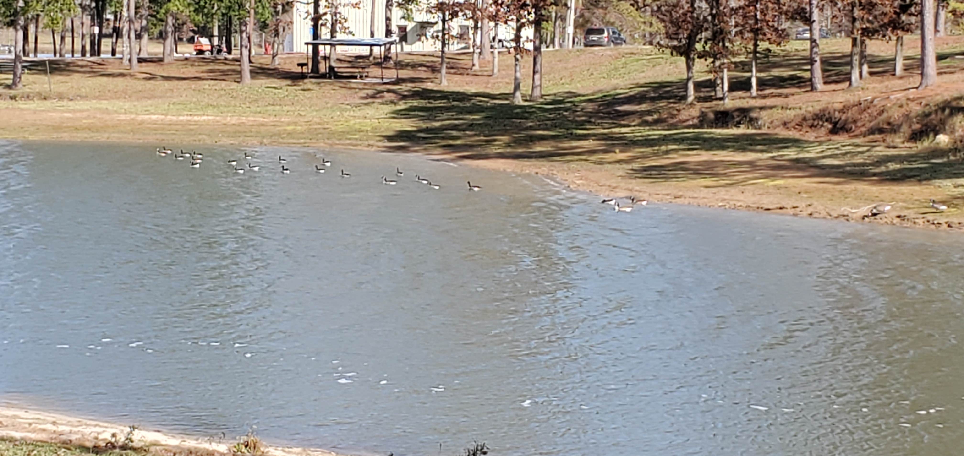 Camper-submitted photo at Toledo Bend Recreation Site - MILITARY near Sabine National Forest