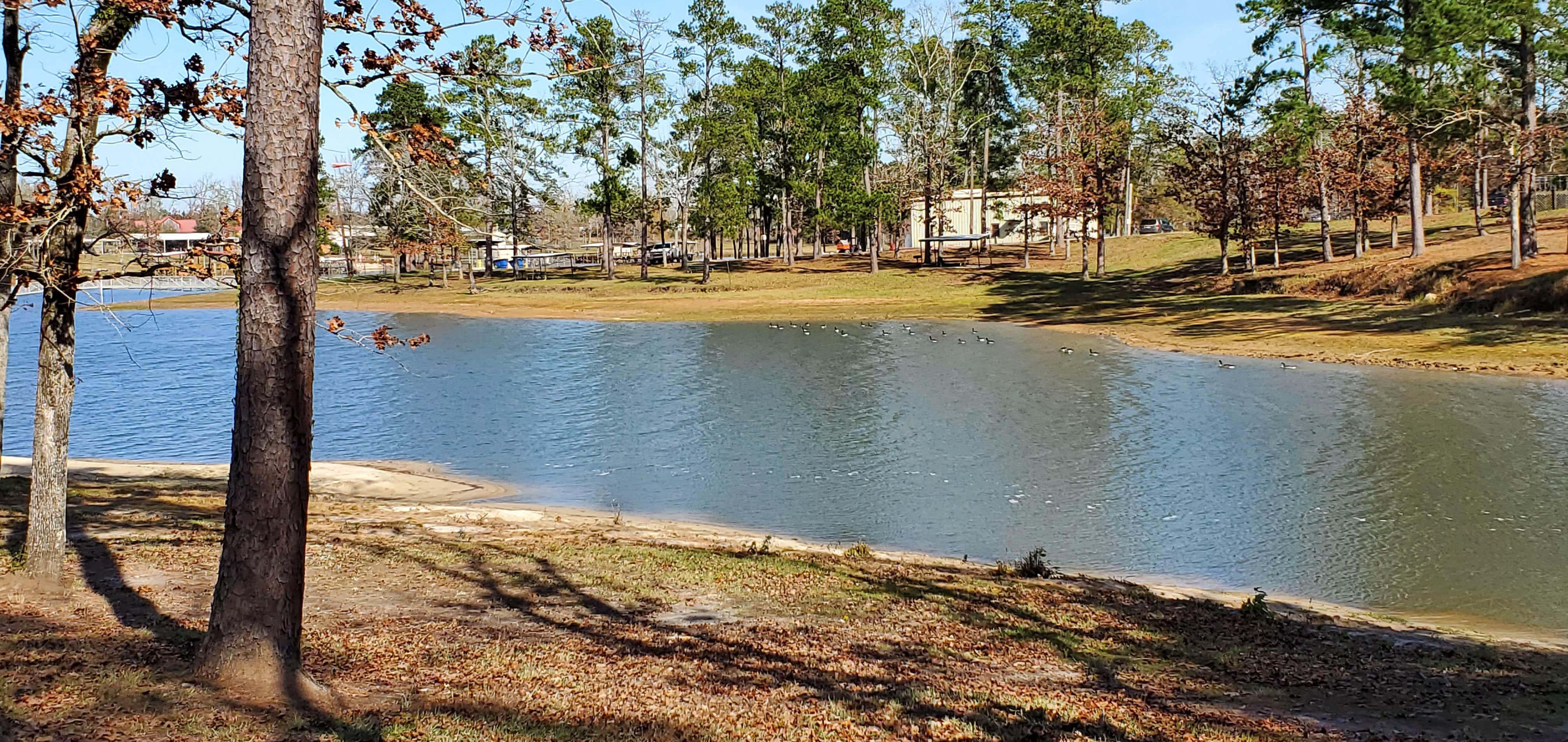 Camper submitted image from Toledo Bend Recreation Site - 5