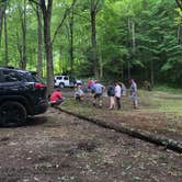 Review photo of Nantahala National Forest by Brianna L., July 8, 2018