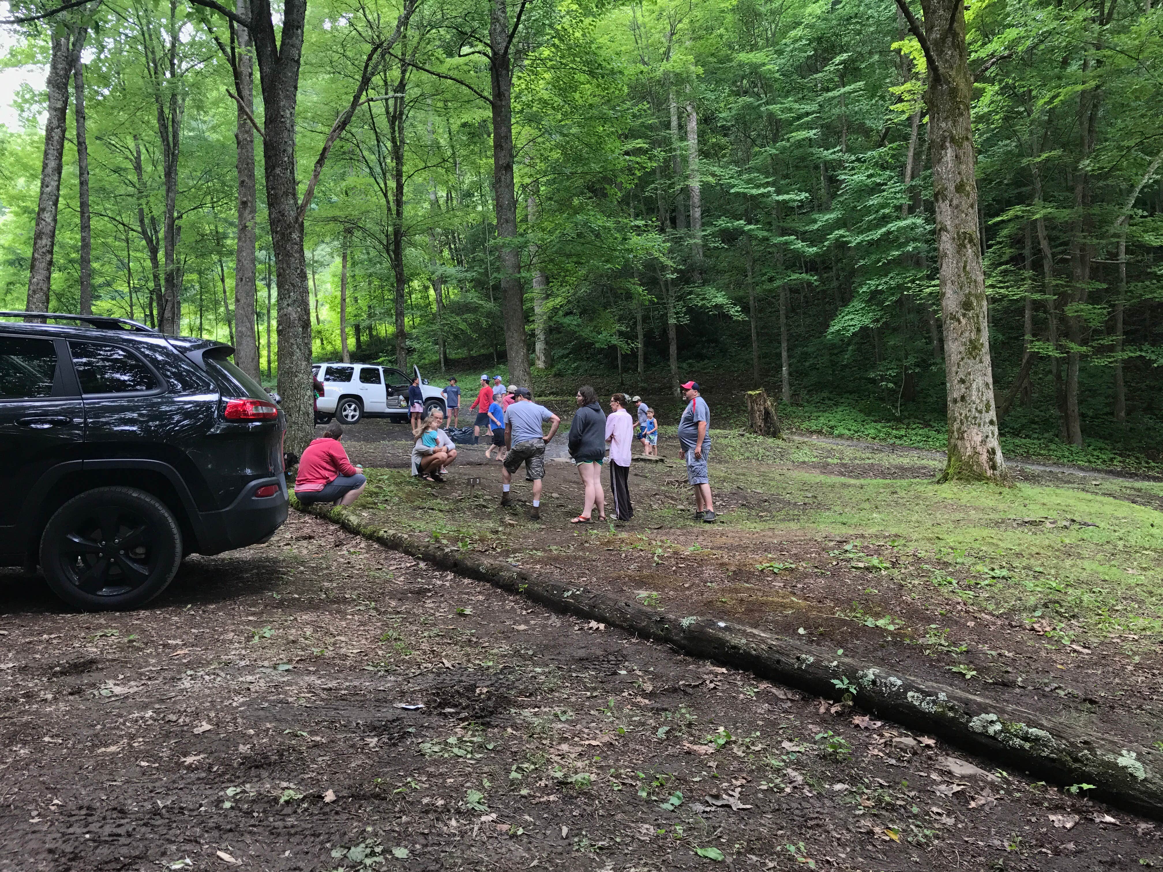 Camper submitted image from Nantahala National Forest - 3