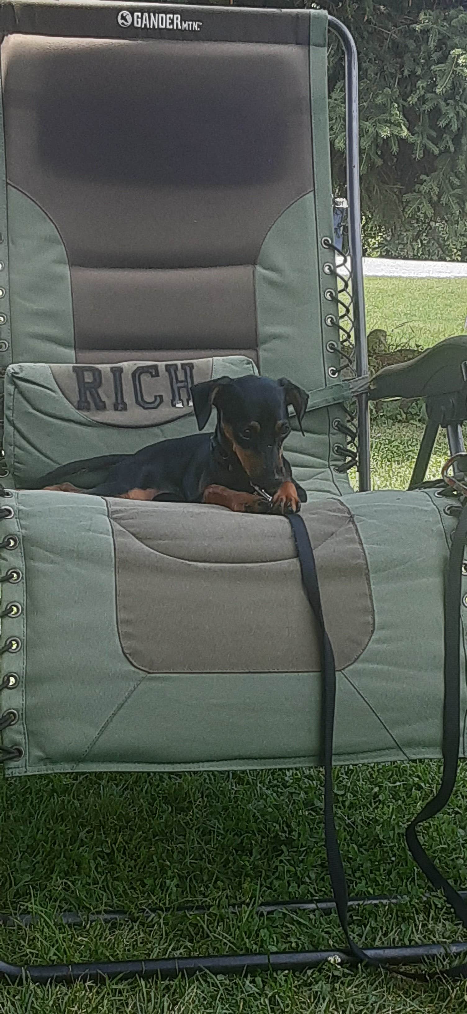 Rich L.'s photo of camping with pets at Canandaigua-Rochester KOA near Rochester, NY