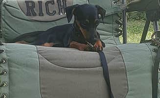 Rich L.'s photo of camping with pets at Canandaigua-Rochester KOA near Canandaigua, NY