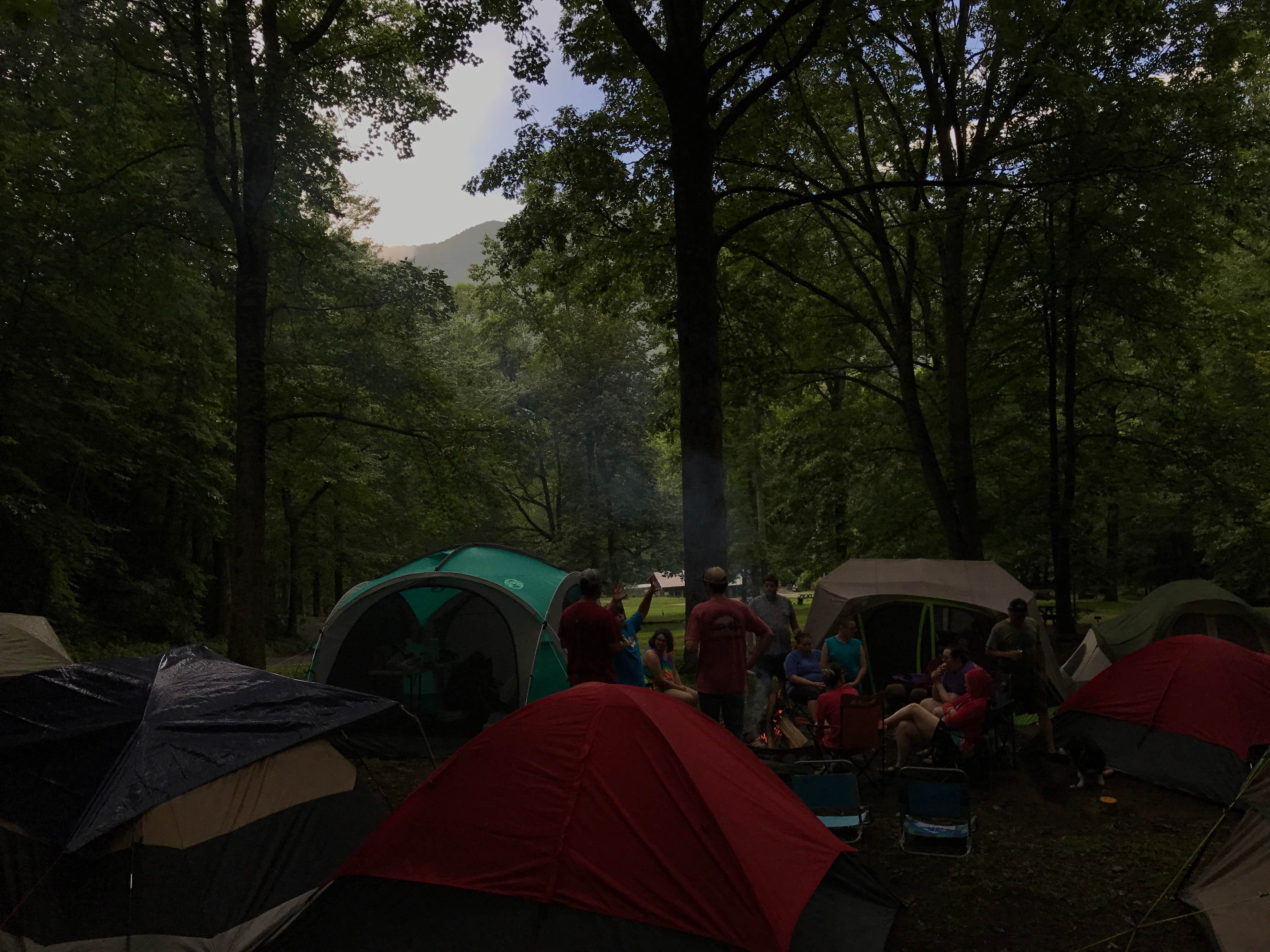 Camper submitted image from Nantahala National Forest - 5