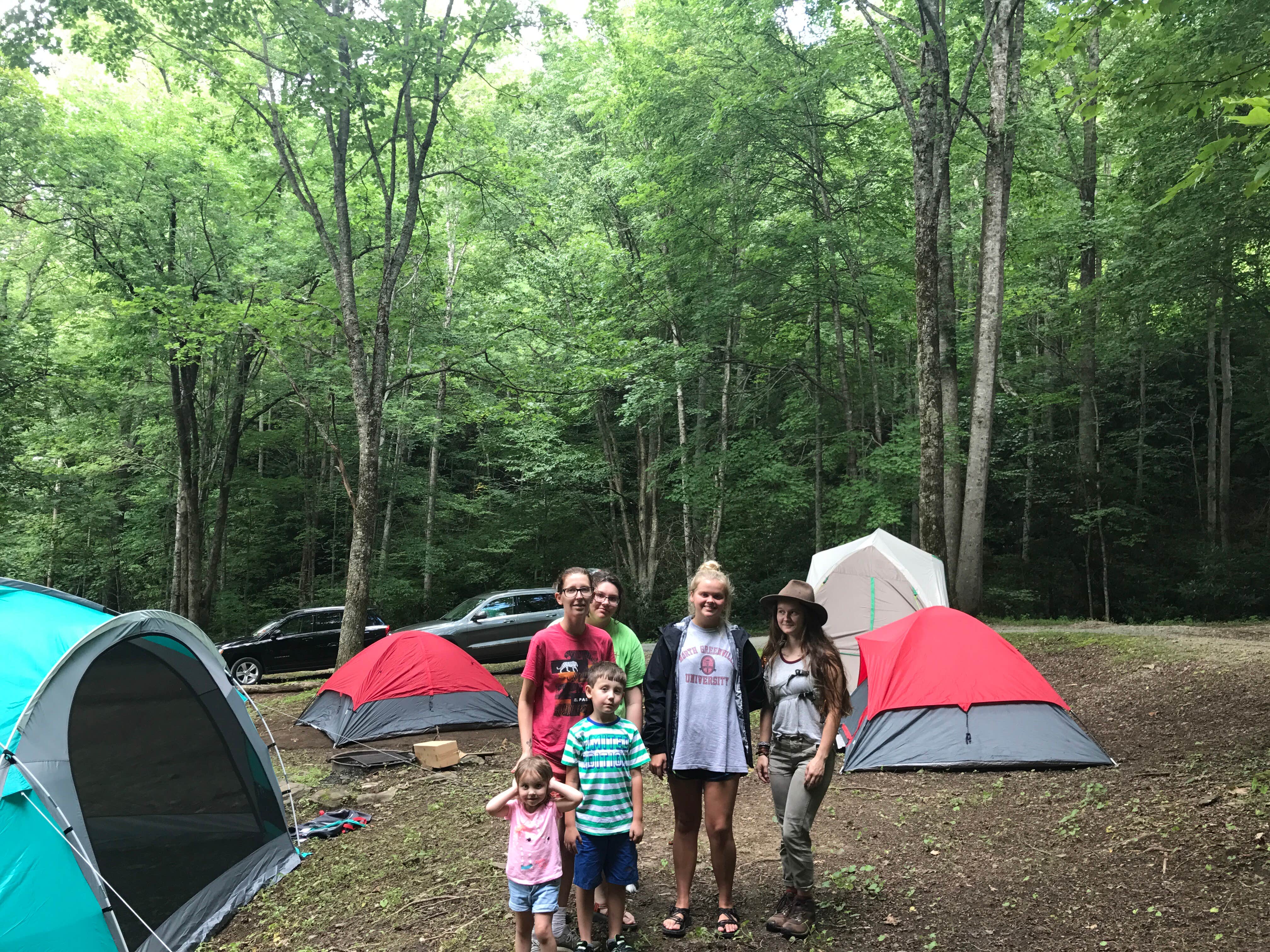 Camper submitted image from Nantahala National Forest - 4