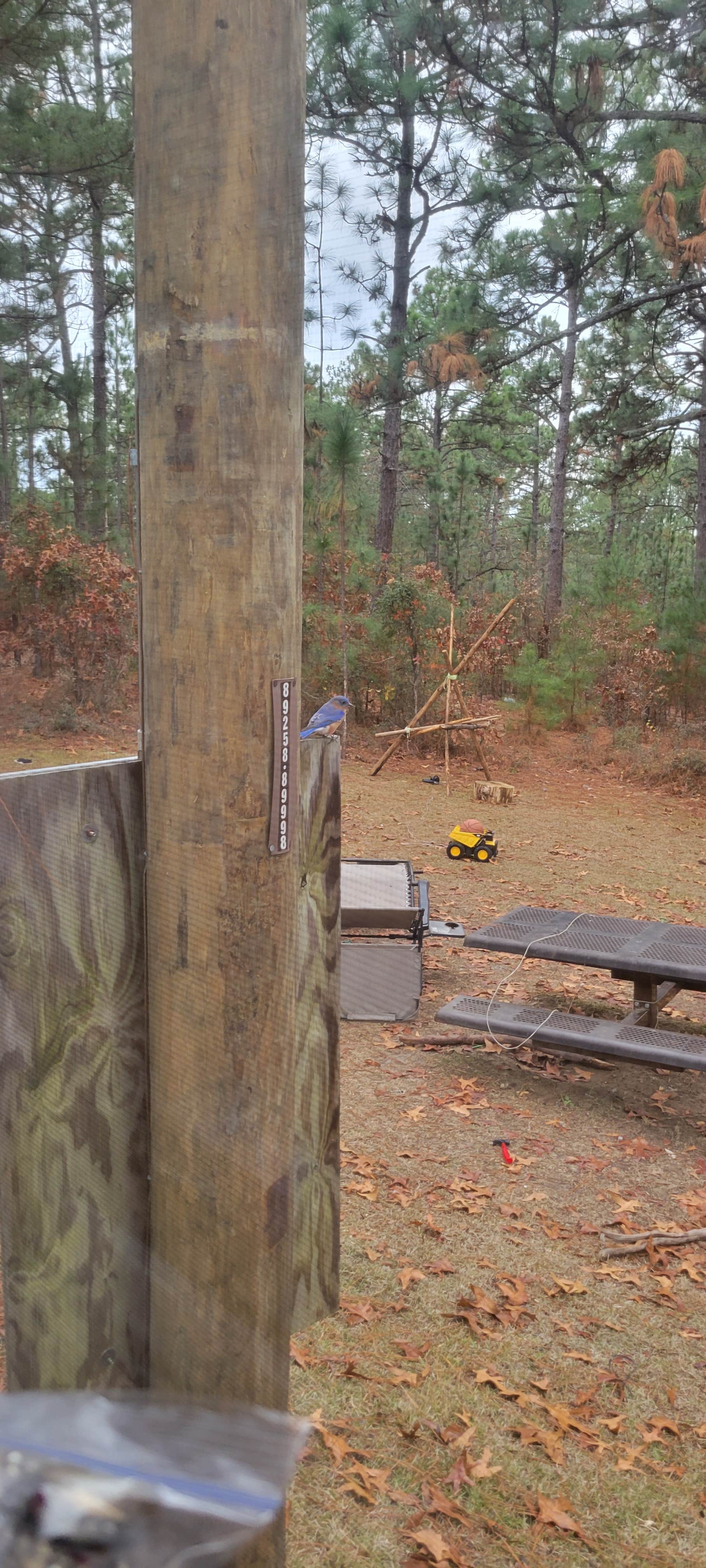 Camper-submitted photo at Smith Lake Army RV Park near Fayetteville, NC