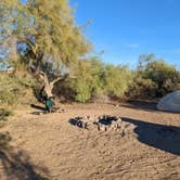 Review photo of Kofa National Wildlife Refuge by Becbecandbunny O., December 23, 2021