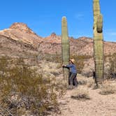 Review photo of Kofa National Wildlife Refuge by Becbecandbunny O., December 23, 2021