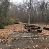 Review photo of Cumberland Mountain State Park Campground by N I., December 23, 2021