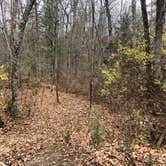 Review photo of Cumberland Mountain State Park Campground by N I., December 23, 2021