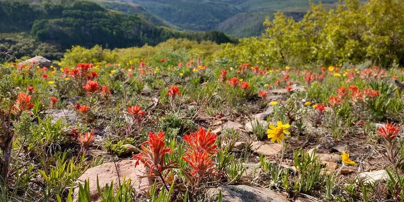 Camper submitted image from Warner Lake Campground & Cabin