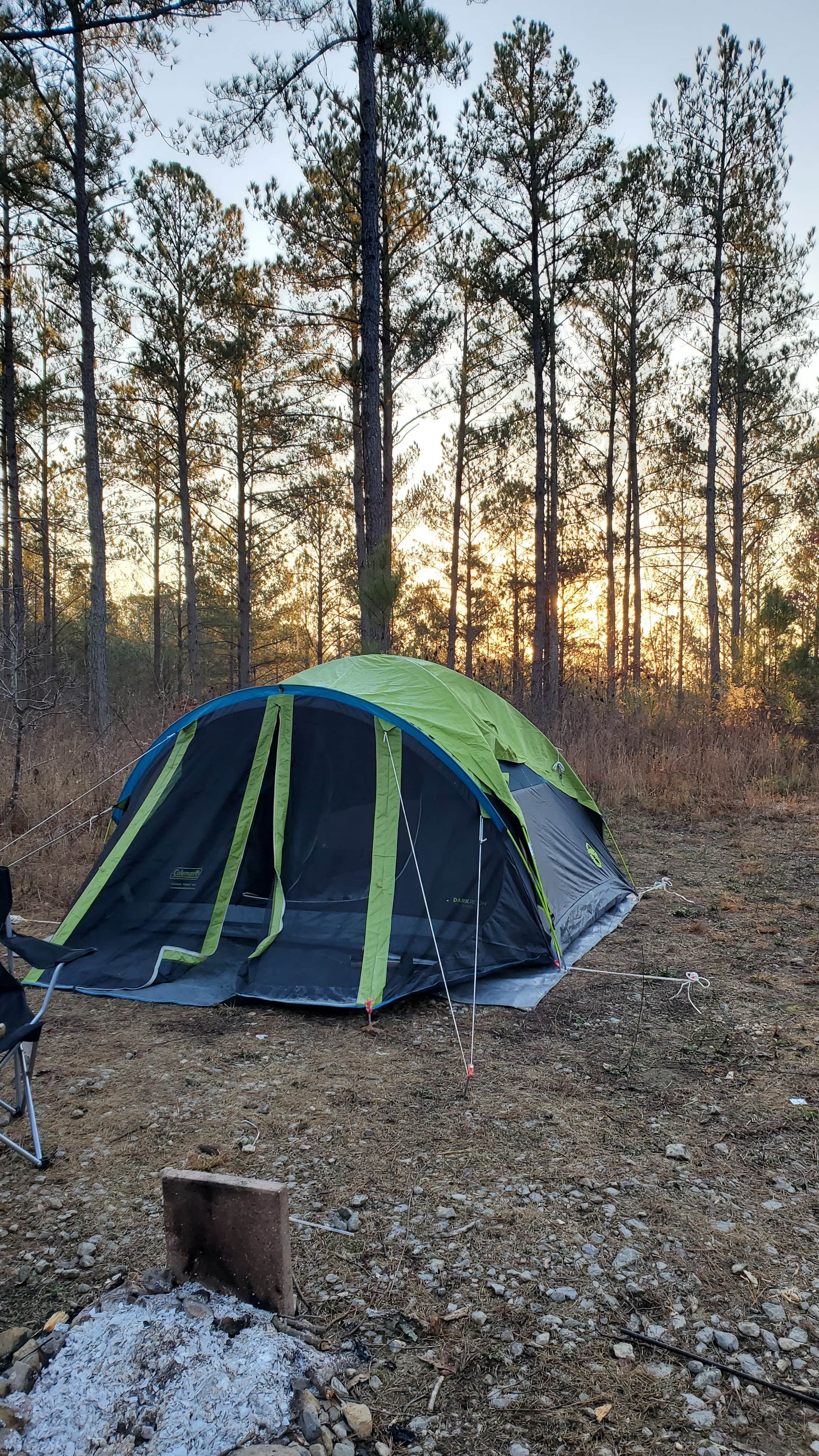 Camper submitted image from Boondock Dispersed Camping Alabama - 4