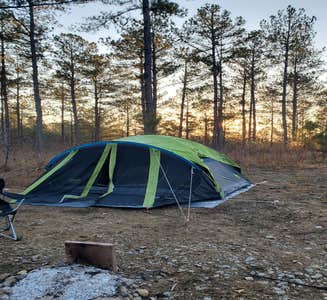Camper-submitted photo from Boondock Dispersed Camping Alabama
