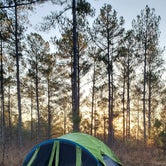 Review photo of Boondock Dispersed Camping Alabama by Rhea B., December 23, 2021