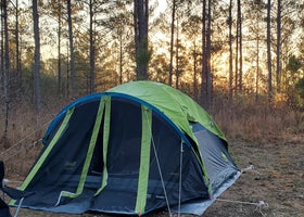 Boondock Dispersed Camping Alabama
