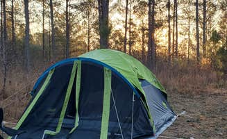 Rhea B.'s photo at Boondock Dispersed Camping Alabama near Hartselle, AL