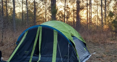 Boondock Dispersed Camping Alabama