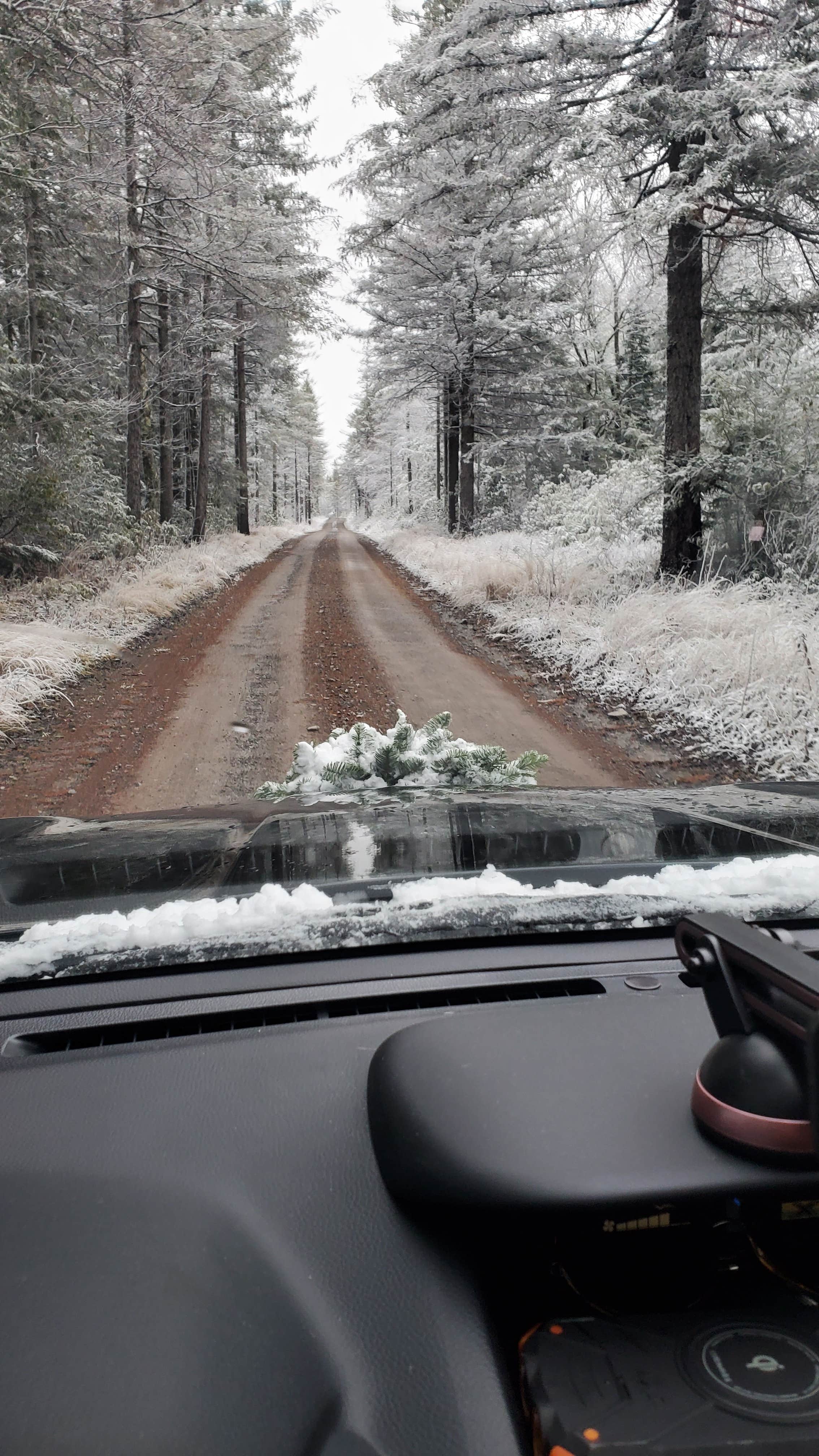 Camper submitted image from Canaan Loop Road Dispersed - 3