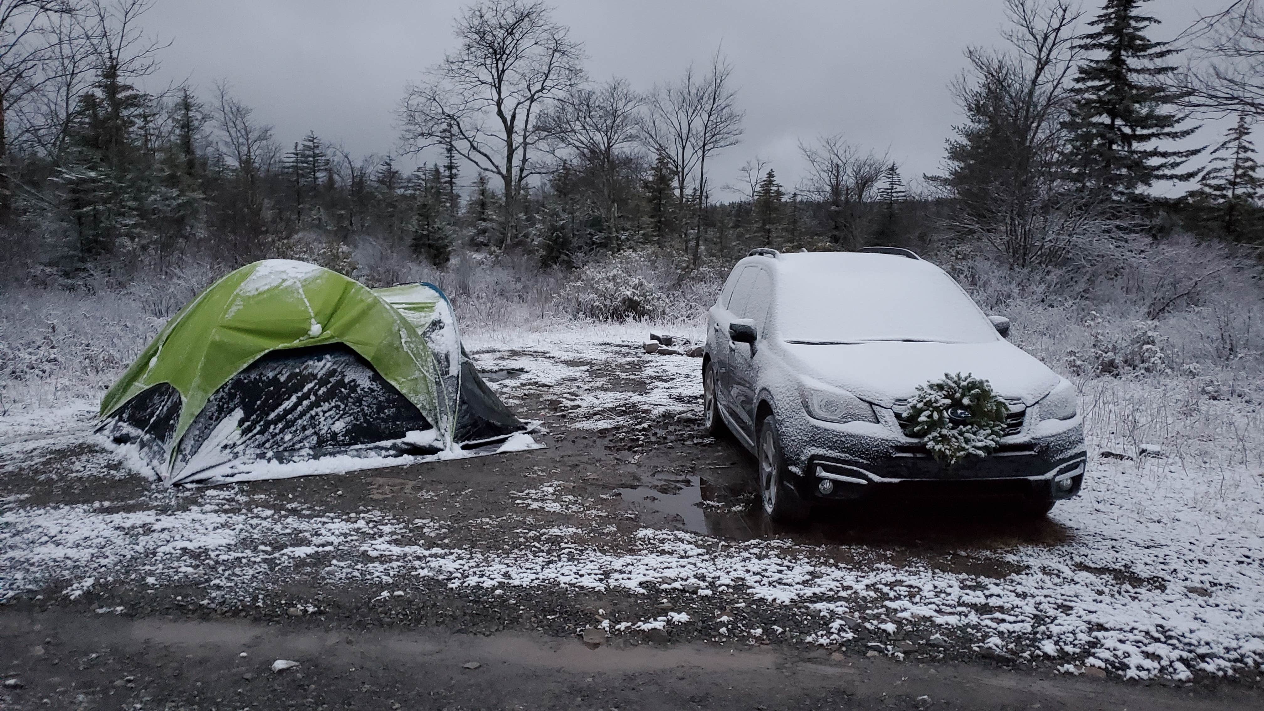 Camper submitted image from Canaan Loop Road Dispersed - 3