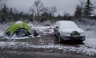 Rhea B.'s photo at Canaan Loop Road Dispersed near Thomas, WV